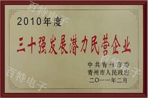 2010年度三十強(qiáng)發(fā)展?jié)摿γ駹I(yíng)企業(yè)