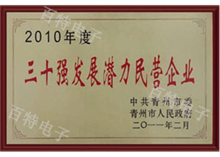 2010年度三十強發展潛力民營企業